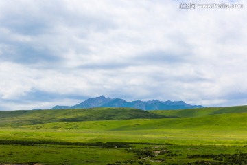 甘肃张掖祁连山草原