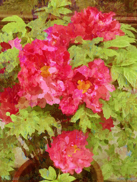 芍藥油畫裝飾畫
