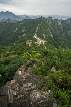 板厂峪长城 夏天 竖片