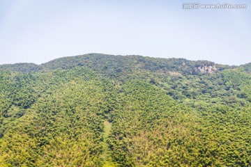 南山 竹海