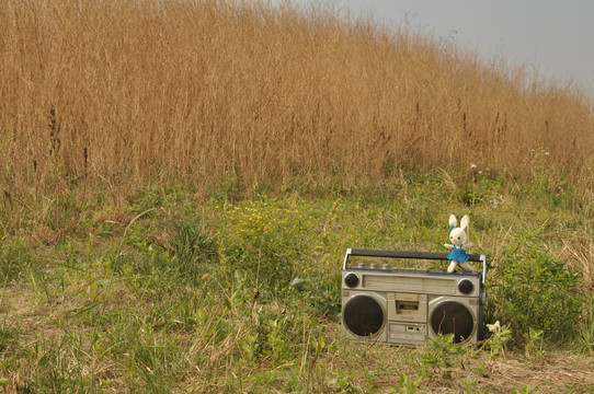 荒草地上的老式录音机和小兔子