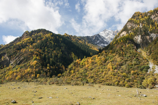 四川四姑娘山双桥沟风景