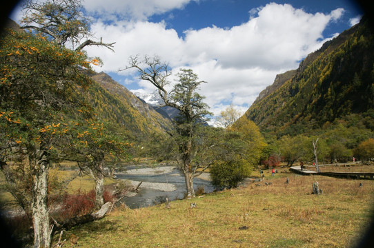 四川四姑娘山双桥沟风景