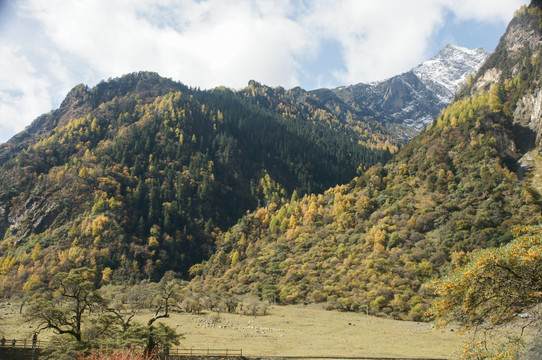 四川四姑娘山双桥沟风景