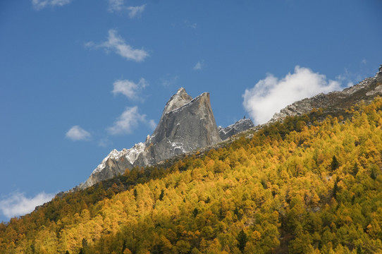 四川四姑娘山双桥沟风景