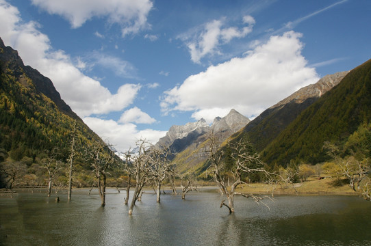 四川四姑娘山双桥沟风景