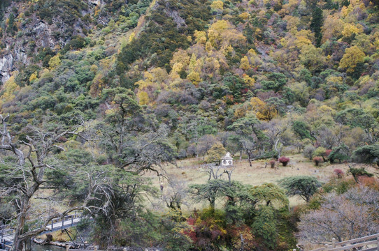 四川四姑娘山双桥沟风景