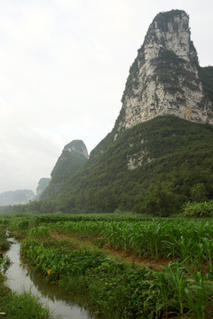 青山绿水