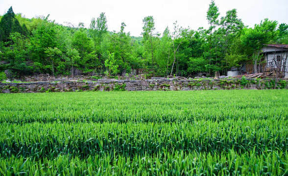 南漳香水河景区