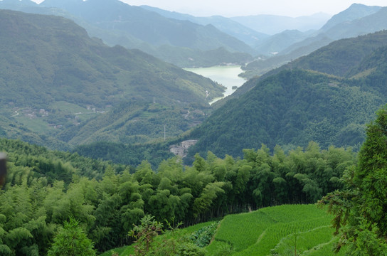 田野青山