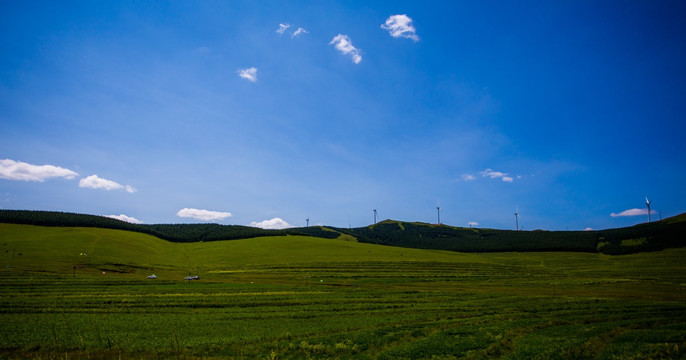 桦皮岭