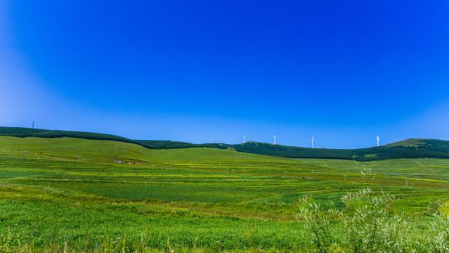 草原天路