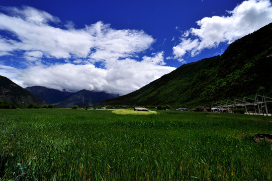 西藏雅鲁藏布大峡谷