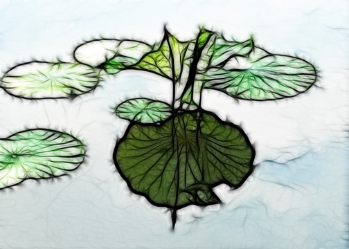 荷花抽象畫(huà)