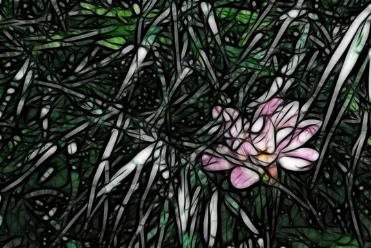 荷花抽象畫