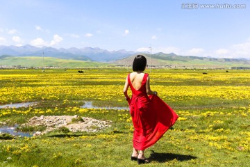 田野里穿红裙子的女人背影