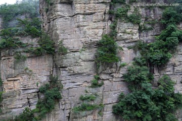 峭壁 石壁