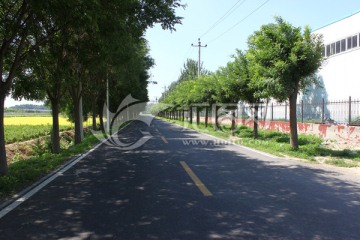 乡间柏油路