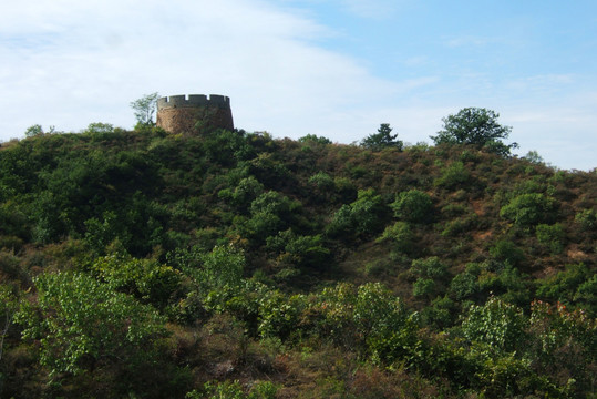 草原风光 坝上