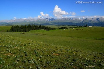 喀拉峻大草原 高清