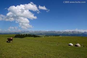 喀拉峻草原 高清