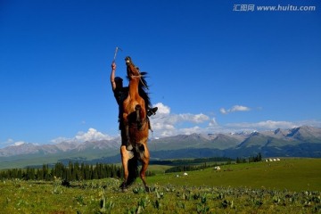 策马扬鞭