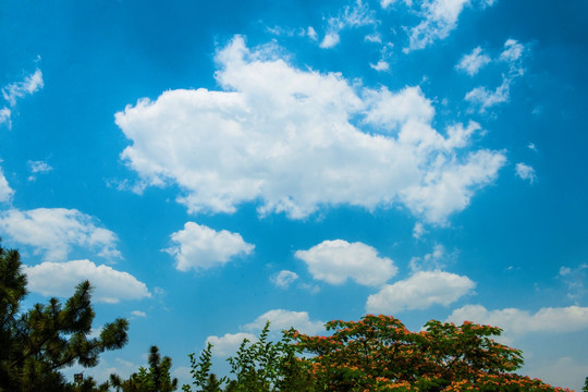 天空 蓝天 白云