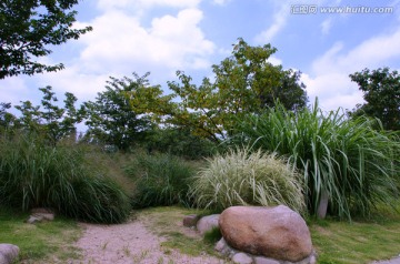 上海植物园