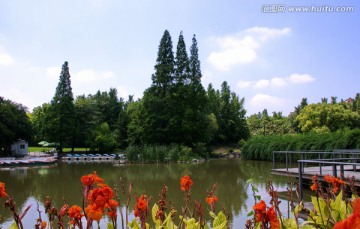 上海植物园