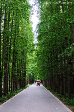 上海植物园