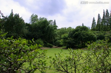 上海植物园