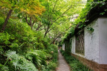 上海植物园