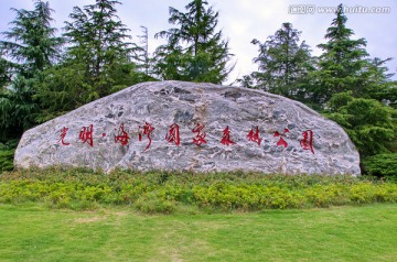 上海海湾国家森林公园