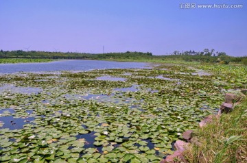 上海海湾国家森林公园