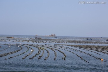 大海 海洋养殖