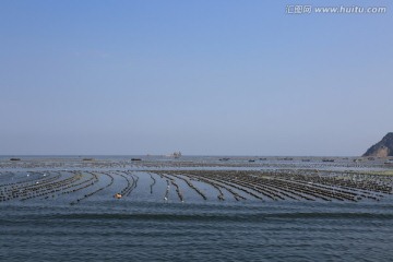 大海 海洋养殖