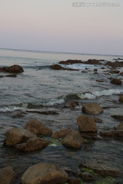 海边的石头 海苔