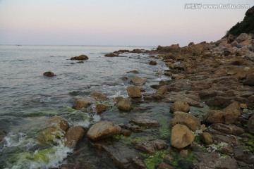 海边的石头 海苔