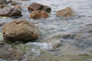 海边的石头