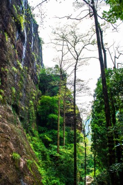 雁荡山风光