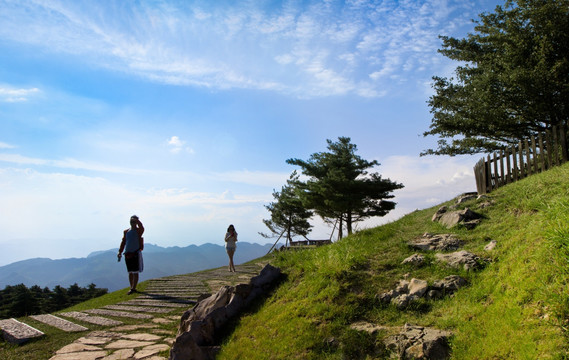 山楂樹 百里荒 山楂樹之戀