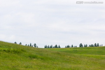 甘肃张掖山丹军马场祁连山草原