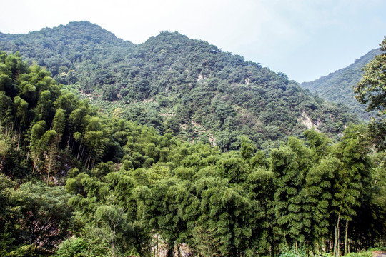 水墨汀溪风景区