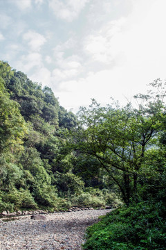 水墨汀溪风景区