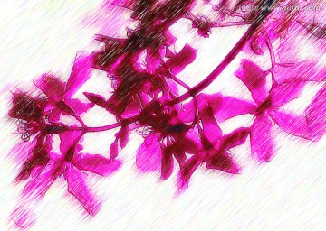 彩色裝飾畫(huà) 花