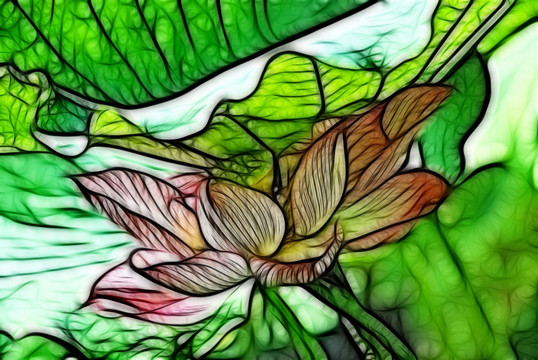 荷花抽象畫