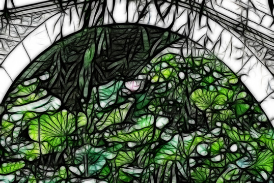 荷花抽象畫