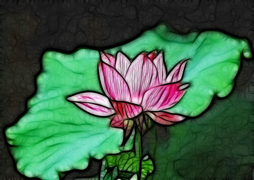 荷花抽象畫(huà)