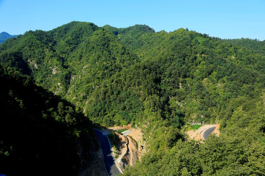 田野