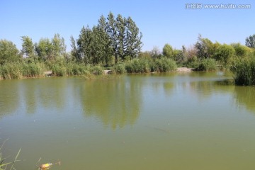 绿色的池塘